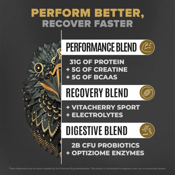 Falcon Performance Vegan Protein Powder, 31g Protein, 5g Creatine, 5g BCAA, Probiotics, Electrolytes, Pre Workout, Low Carb, Sugar Free & Dairy Free, Plant Based Vanilla Protein, 29 Servings