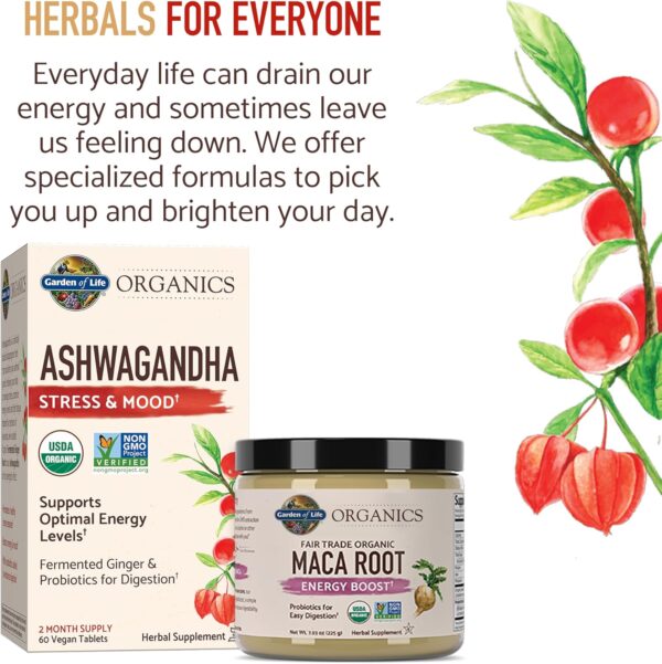 Garden of Life Organics Ashwagandha Stress, Mood & Energy Support Supplement with Probiotics & Ginger Root for Digestion - Vegan, Gluten Free, Non GMO – 2 Month Supply, 60 Tablets