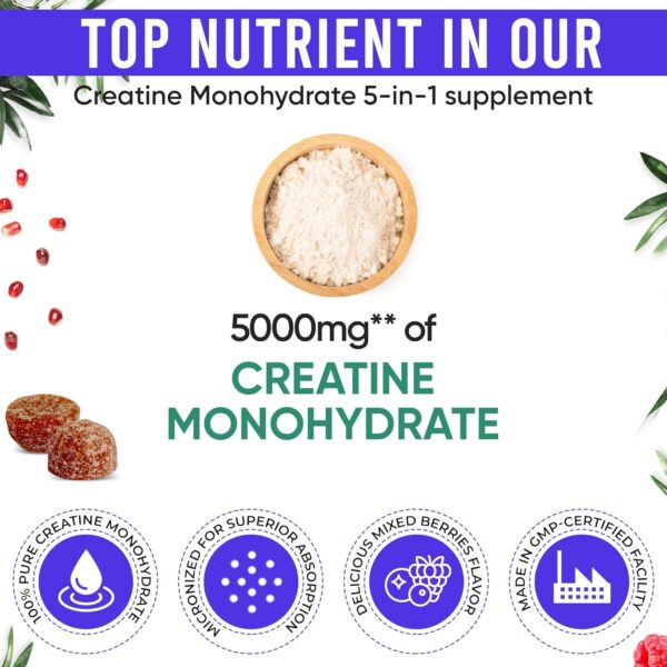 Creatine Monohydrate Gummies for Men & Women – 5000mg per Serving Creatine Supplement with Beta-Alanine, L-Citrulline & B12 – Supports Strength, Energy, and Recovery – 75 Vegan Gummies. Sugar-Free