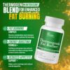 DR VITAMIN SOLUTIONS Thermogenic Fat Burner for Women and Men - Appetite Suppressant for Weight Loss - Includes Green Tea Extracts for Bloat Relief - Metabolism Booster - 30 Weight Loss Pills