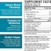 Wilderness Athlete - BCAAs - Branched Chain Amino Acids Powder - Essential Amino Acids Supplement for Men & Women - BCAA Supplement with Optimal Amino Acid Complex (Blood Orange)