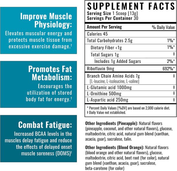 Wilderness Athlete - BCAAs - Branched Chain Amino Acids Powder - Essential Amino Acids Supplement for Men & Women - BCAA Supplement with Optimal Amino Acid Complex (Blood Orange)