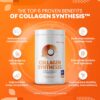 SaltWrap Collagen Synthesis Powder - Collagen Peptides for Joint Recovery with Fortigel & Tendoforte, Collagen for Women, Collagen for Men, Collagen Protein, Supports Tendons, Ligaments, NSF Certified