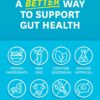 Zenwise Health Digestive Enzymes and Bromelain for Gut Health - Probiotic Multi Enzymes with Prebiotics and Probiotics for Women and Men for Digestive Health and Bloating Relief for Digestion - 45 CT