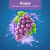 Amazon Basic Care Pediatric Electrolyte Solution, Grape Flavor, Helps Prevent Dehydration, Replaces Electrolytes, Fluid and Zinc, for Kids and Adults, 33.8 fl oz (Pack of 1)