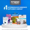 Nutramax Cosequin Joint Health Supplement for Cats - With Glucosamine, Chondroitin, and Omega-3, 60 Soft Chews