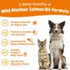 Zesty Paws Wild Alaskan Omega-3 Blend Pollock + Salmon Oil for Dogs and Cats- Skin and Coat Support, Omega 3 Supplement for Pets, 32oz