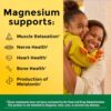 Nature Made Magnesium Oxide 250 mg, Magnesium Supplement for Muscle, Heart, Bone and Nerve Health Support, 100 Tablets, 100 Day Supply