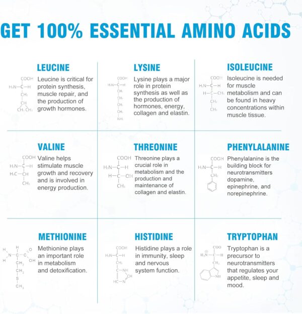 Ultimate 100% Essential Amino Acid Supplement - 150 Easy-to-Swallow, 1g Coated Tablets - All 9 EAA with 40% Leucine in Optimized BCAA Ratio - Increase Energy, Lean Muscle & Recovery - Keto & Vegan
