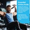 Granite Essential Amino Acids Powder for Muscle Recovery and Growth with 10g EAAs and 7g BCAAs - Soy-Free, Gluten-Free, 448g (30 Servings), Orange Creamsicle Flavor