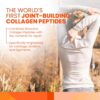SaltWrap Collagen Synthesis Powder - Collagen Peptides for Joint Recovery with Fortigel & Tendoforte, Collagen for Women, Collagen for Men, Collagen Protein, Supports Tendons, Ligaments, NSF Certified