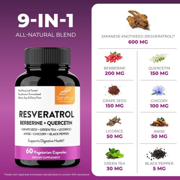 Resveratrol with Berberine for Gut Health | Digestive Supplement for Women and Men | Green Tea, Star Anise, DGL, Grape Seed Extract and Quercetin | Eases Bloating | 60 Vegetarian Capsules for Adults