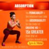 Creatine HCL Capsules with HMB - Workout Supplement for Men & Women, Muscle Builder, Endurance, Strength, Superior to Monohydrate: Instantized for Max Absorption, No Load, No Bloat, 180 Vegan Capsules