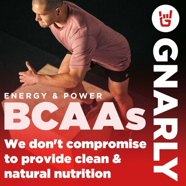 Gnarly Nutrition BCAA Powder, Berry Lemonade – Pre-Workout BCAAS Amino Acids – NSF Sport Certified – Supplement to Support and Rebuild Muscle – Berry Lemonade with Caffeine, 10.58 oz