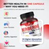 Premium Berberine with Cinnamon, Milk Thistle *USA Made & Test* Promotes Liver Function, Gut Health, Immunity (150 Count (Pack of 1))