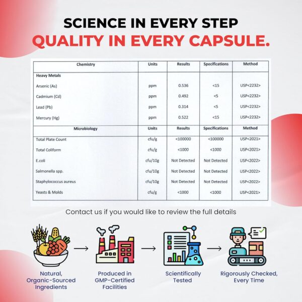 Premium Berberine with Cinnamon, Milk Thistle *USA Made & Test* Promotes Liver Function, Gut Health, Immunity (150 Count (Pack of 1))