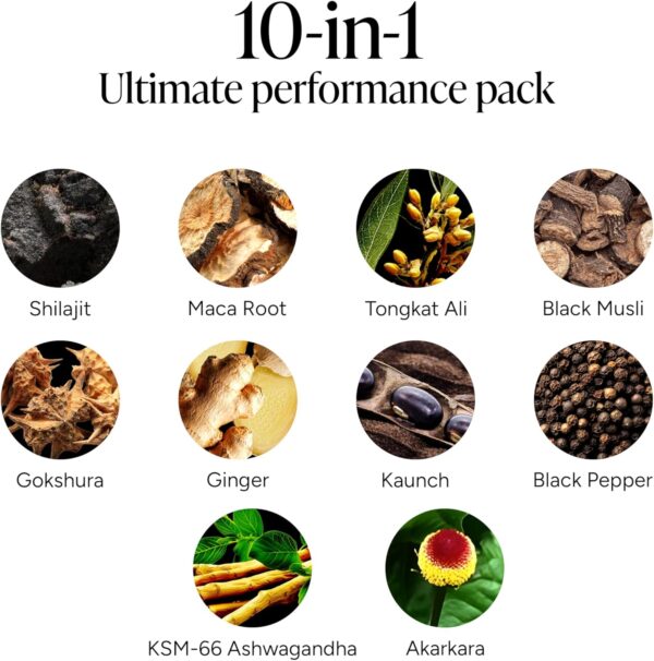 Root Labs10-1 Alpha Gummies | 4000 mg Shilajit I KSM 66 Ashwagandha | Maca Root| Tongkat Ali | No Added Sugar | GMO Free I Vegan I Clean Lab Project Certified I 60 Gummies