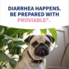 Nutramax Proviable Probiotics for Dogs Digestive Health Kit – 30ml Paste + 10 Capsules