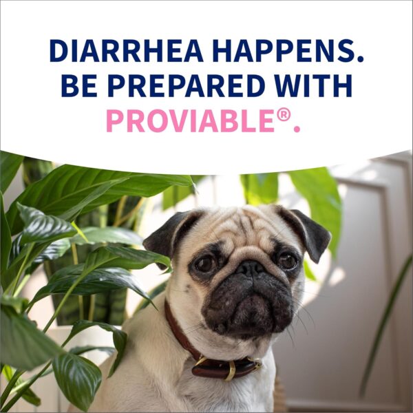 Nutramax Proviable Probiotics for Dogs Digestive Health Kit – 30ml Paste + 10 Capsules