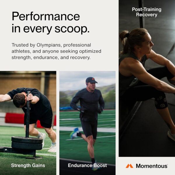 Momentous Creatine Monohydrate Powder - Creapure Creatine Powder Supports Strength, Lean Muscle, & Recovery for Men & Women - 5g Per Serving, 90 Servings