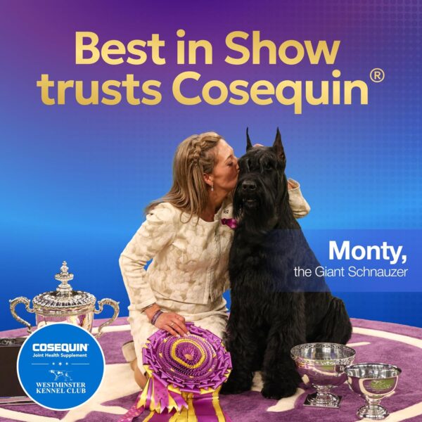 Cosequin Senior Joint Health Supplement for Senior Dogs - With Glucosamine, Chondroitin, Omega-3 for Skin and Coat Health and Beta Glucans for Immune Support, 60 Soft Chews