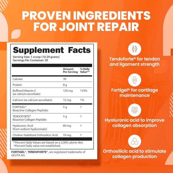 SaltWrap Collagen Synthesis Powder - Collagen Peptides for Joint Recovery with Fortigel & Tendoforte, Collagen for Women, Collagen for Men, Collagen Protein, Supports Tendons, Ligaments, NSF Certified