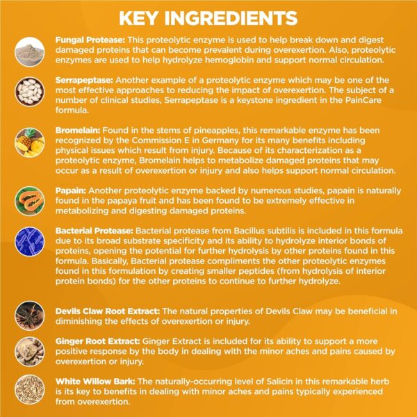 Proteolytic Enzymes Supplement with Serrapeptase - Devils Claw, 90 Capsules, Promotes Joints Relief, Muscle and Tissue Health with Lasting Mobility, Athletes Post Workout Recovery Support